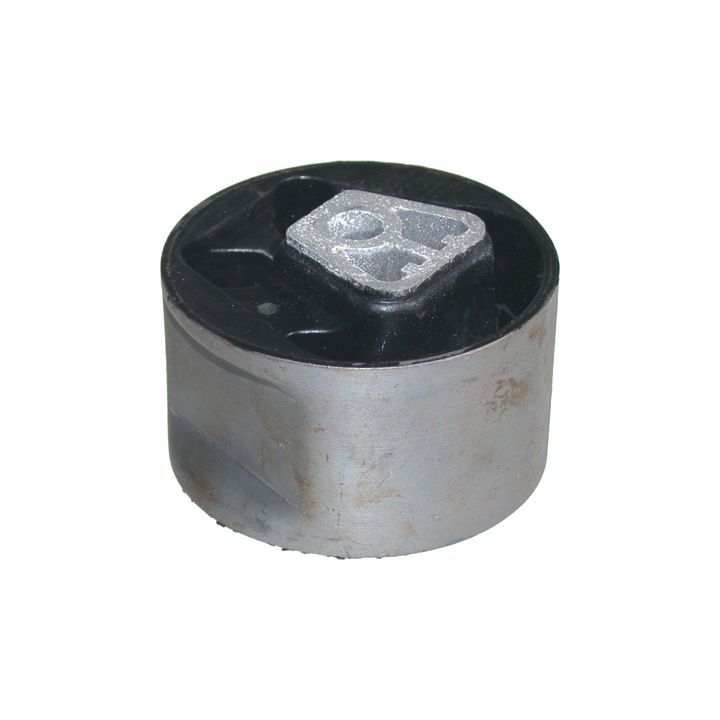 Variklio montavimas BIRTH 50664