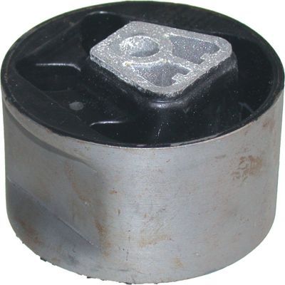 Variklio montavimas BIRTH 50664