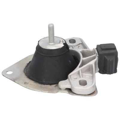 Variklio montavimas BIRTH 50674