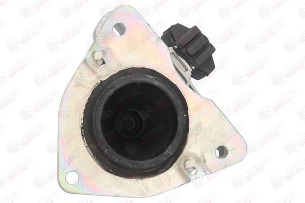 Variklio montavimas BIRTH 50674