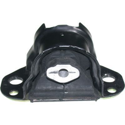 Variklio montavimas BIRTH 50675