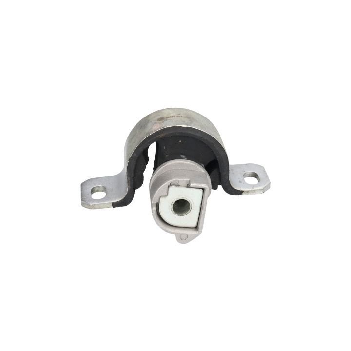 Variklio montavimas BIRTH 50678