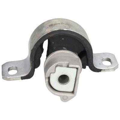 Variklio montavimas BIRTH 50678