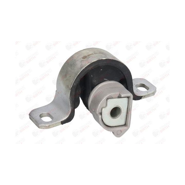 Variklio montavimas BIRTH 50678