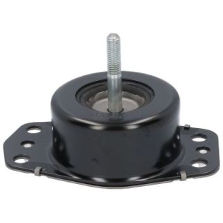 Variklio montavimas BIRTH 50679