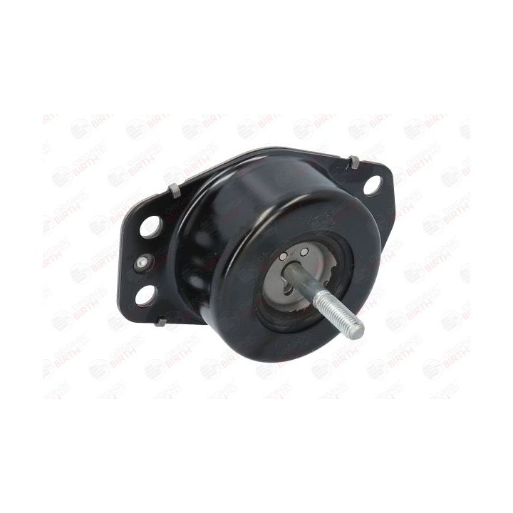 Variklio montavimas BIRTH 50679