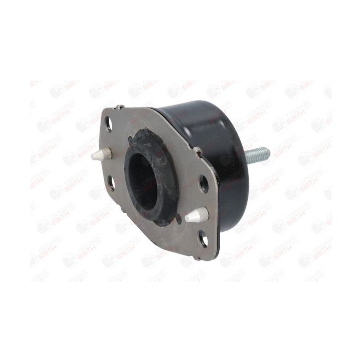 Variklio montavimas BIRTH 50679