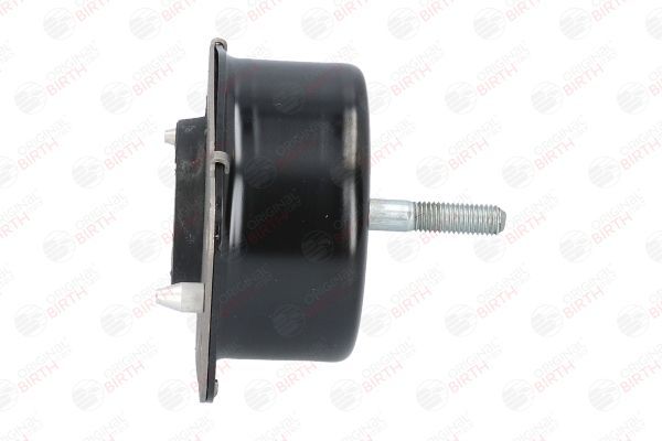 Variklio montavimas BIRTH 50679