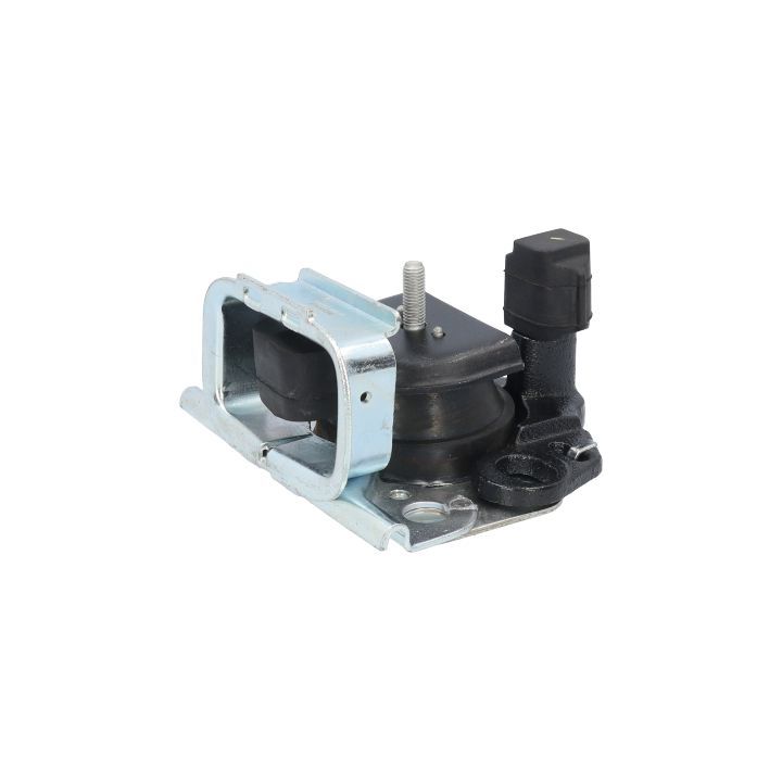 Variklio montavimas BIRTH 50682