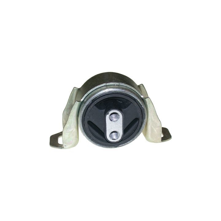 Variklio montavimas BIRTH 50689