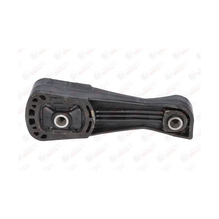 Variklio montavimas BIRTH 50702