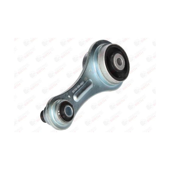 Variklio montavimas BIRTH 50706