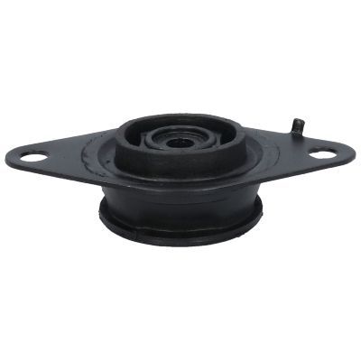 Variklio montavimas BIRTH 50735