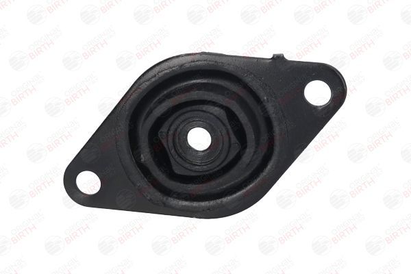 Variklio montavimas BIRTH 50735