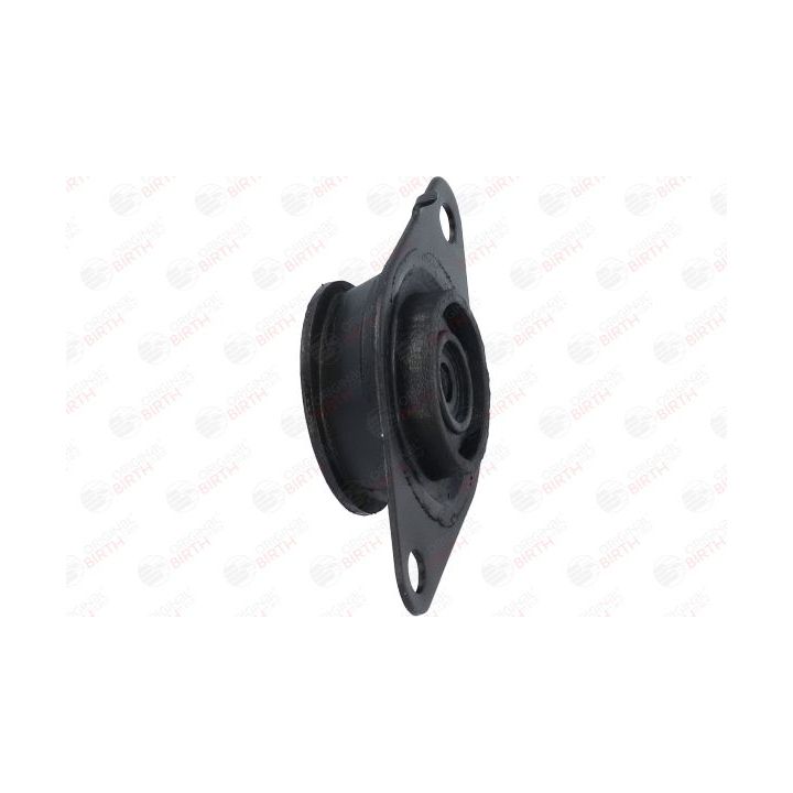 Variklio montavimas BIRTH 50735