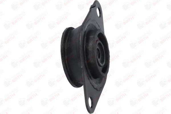 Variklio montavimas BIRTH 50735