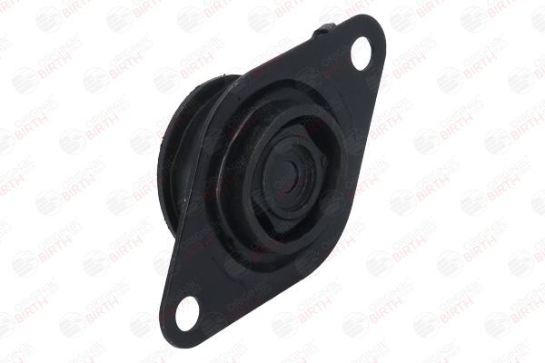 Variklio montavimas BIRTH 50735