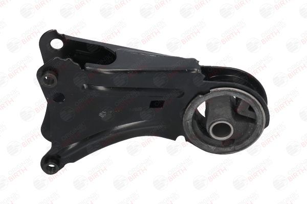 Variklio montavimas BIRTH 50738