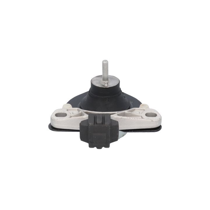 Variklio montavimas BIRTH 50753