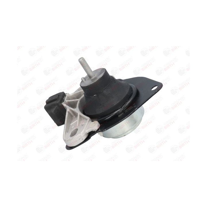 Variklio montavimas BIRTH 50753