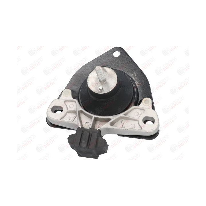 Variklio montavimas BIRTH 50753