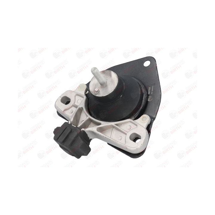 Variklio montavimas BIRTH 50753