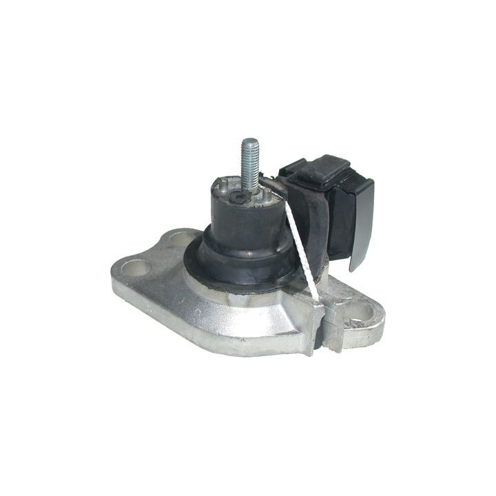 Variklio montavimas BIRTH 50755