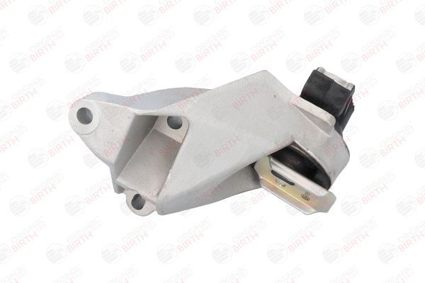 Variklio montavimas BIRTH 50756