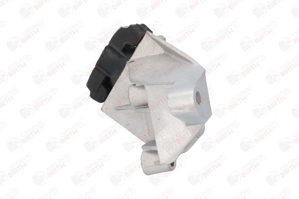 Variklio montavimas BIRTH 50756