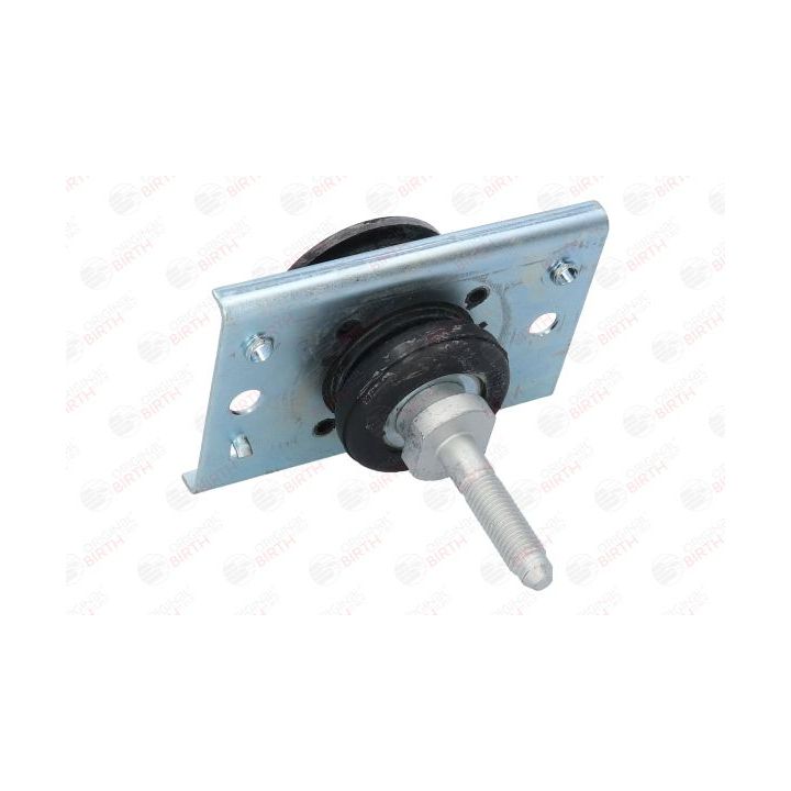 Variklio montavimas BIRTH 50761