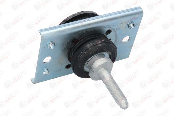 Variklio montavimas BIRTH 50761