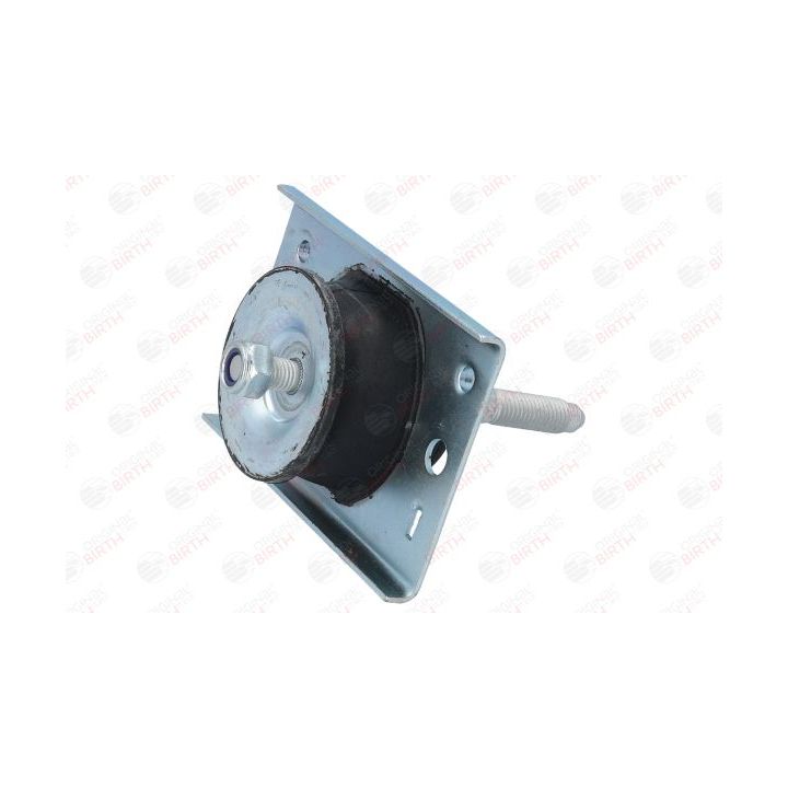 Variklio montavimas BIRTH 50761