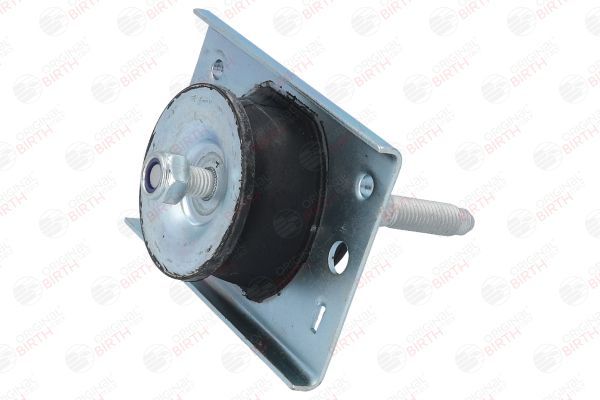 Variklio montavimas BIRTH 50761