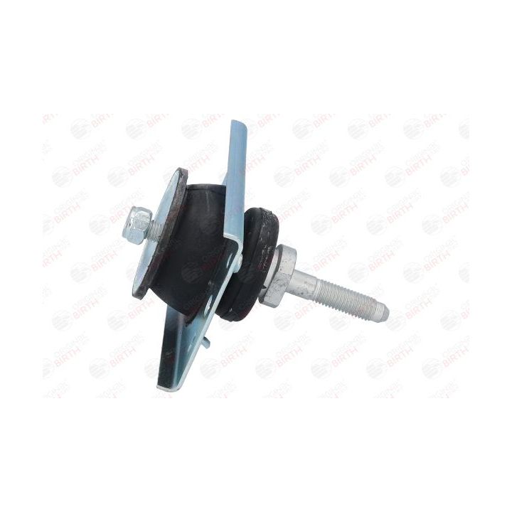 Variklio montavimas BIRTH 50761