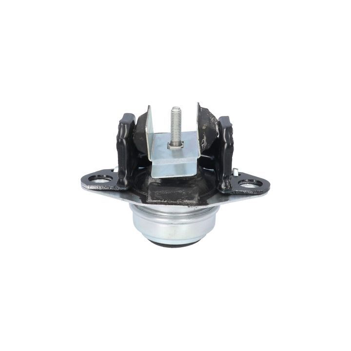 Variklio montavimas BIRTH 50763