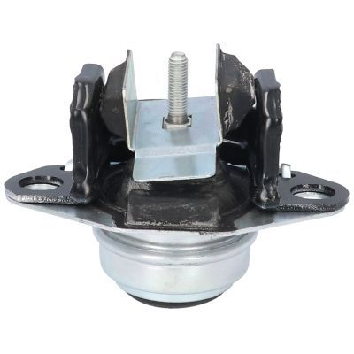 Variklio montavimas BIRTH 50763