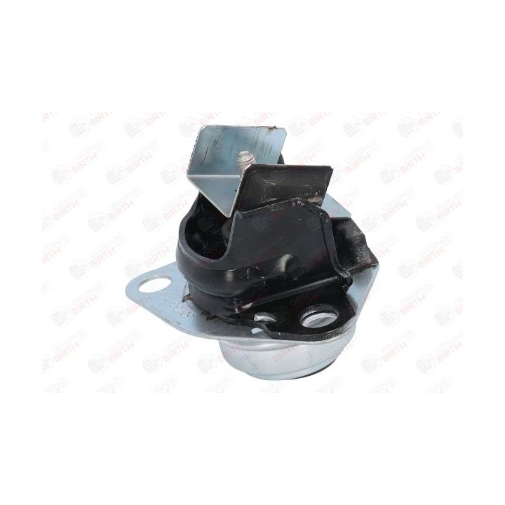 Variklio montavimas BIRTH 50763