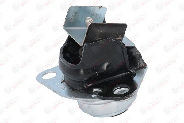 Variklio montavimas BIRTH 50763