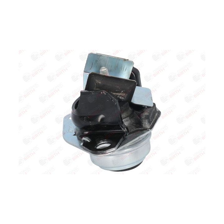 Variklio montavimas BIRTH 50763