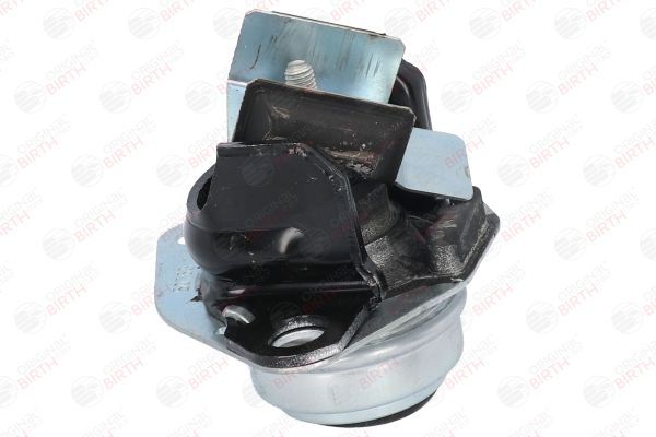 Variklio montavimas BIRTH 50763