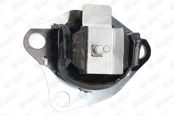 Variklio montavimas BIRTH 50815