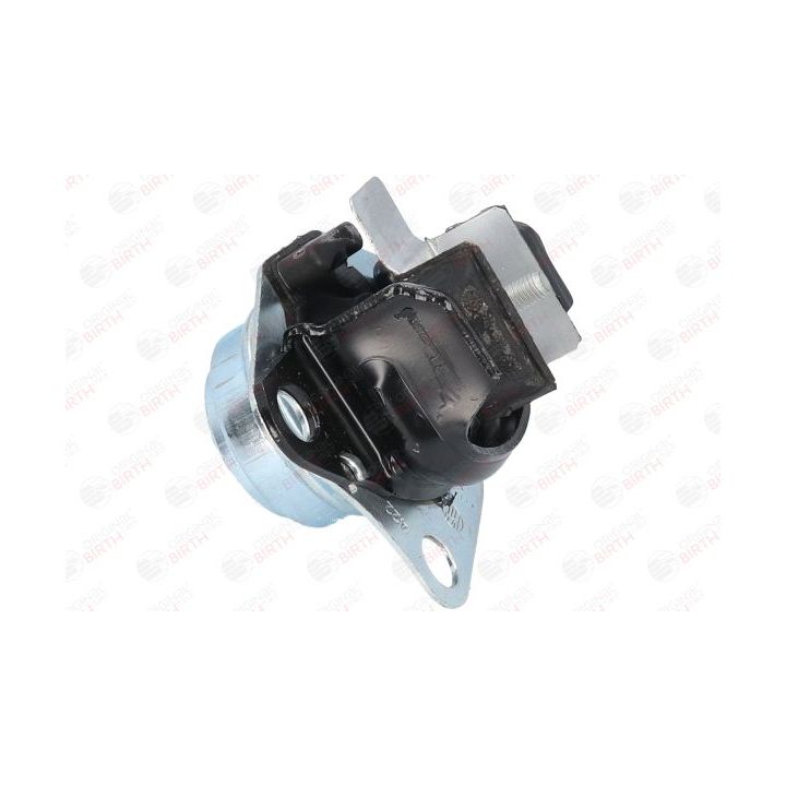 Variklio montavimas BIRTH 50815