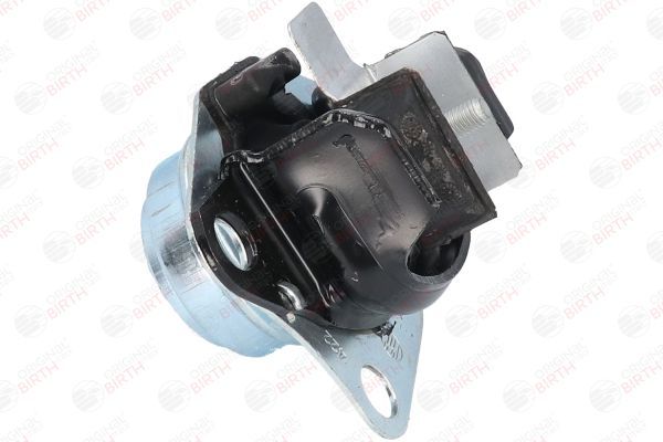 Variklio montavimas BIRTH 50815