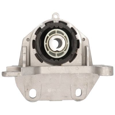 Variklio montavimas BIRTH 50841