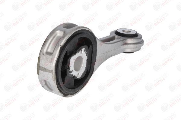 Variklio montavimas BIRTH 50842