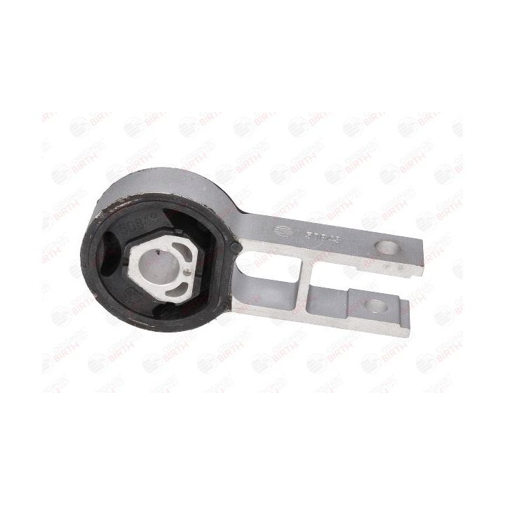 Variklio montavimas BIRTH 50843