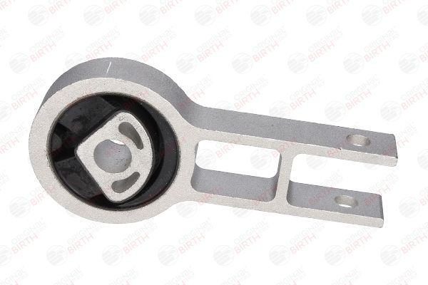 Variklio montavimas BIRTH 50844