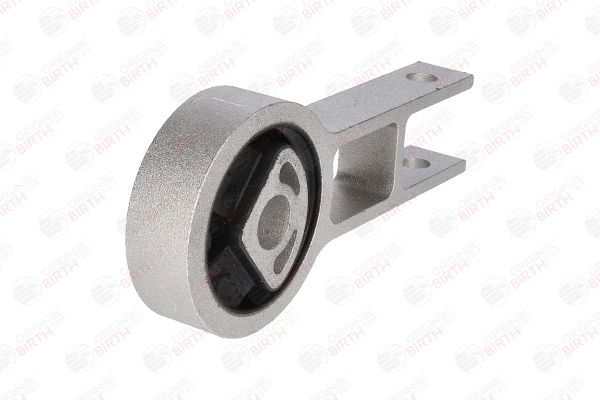 Variklio montavimas BIRTH 50844