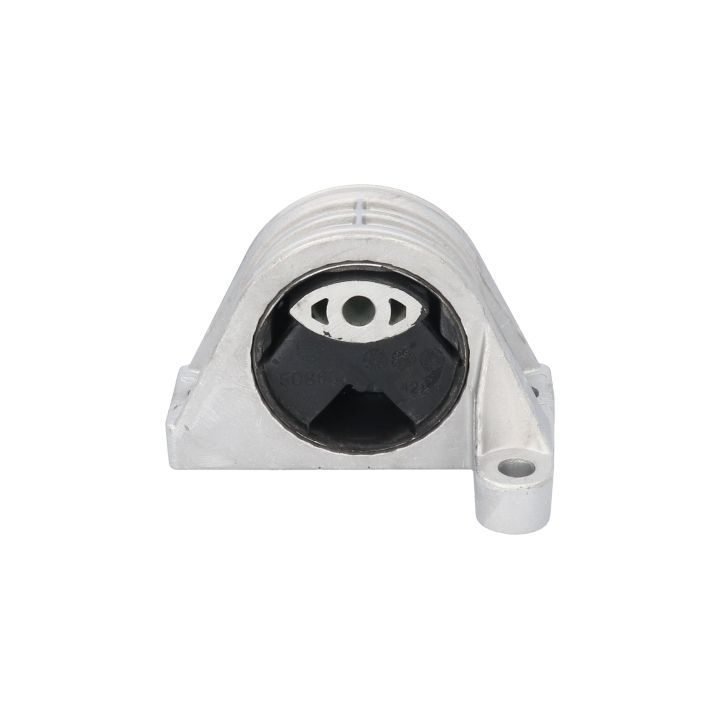 Variklio montavimas BIRTH 50863