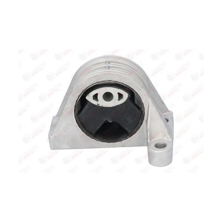 Variklio montavimas BIRTH 50863